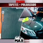 Tapete +polarizado 2