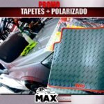 Tapete +polarizado 5