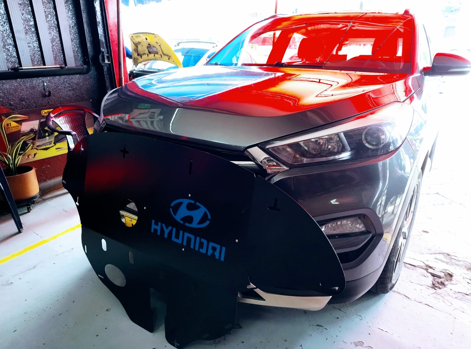 WhatsApp Image 2025-09-20 at 10.13.04 AM